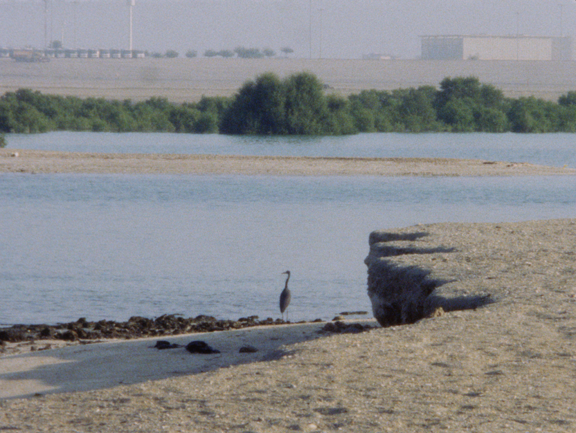 Remote Landscape, 2023 Majd Alloush Film (10 minutes)
